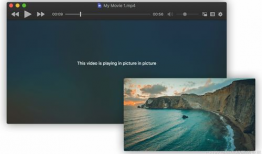 mac视频播放器,功能解析与使用指南